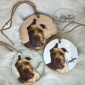 Pet Ornaments Portraits